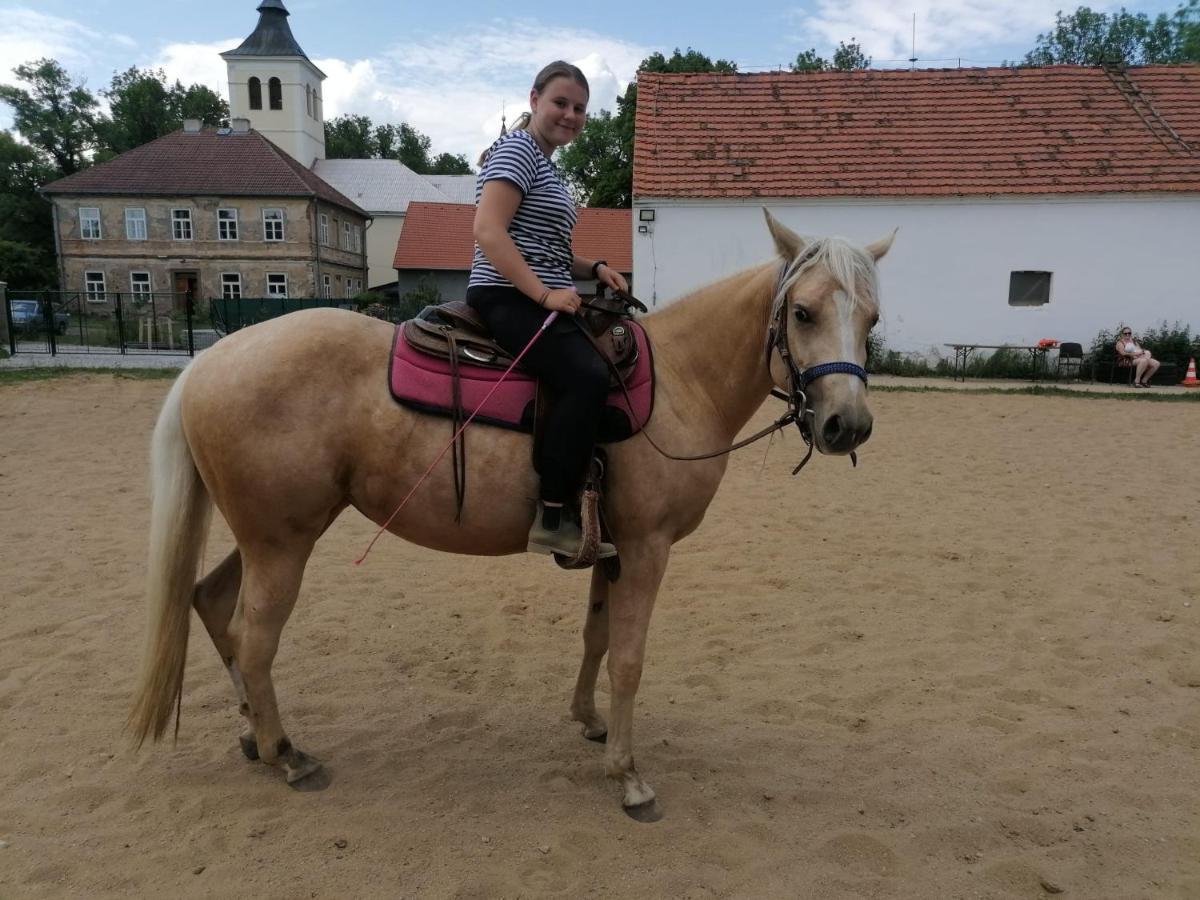 Apartmány Statek Bezdědice Hostomice Exteriér fotografie